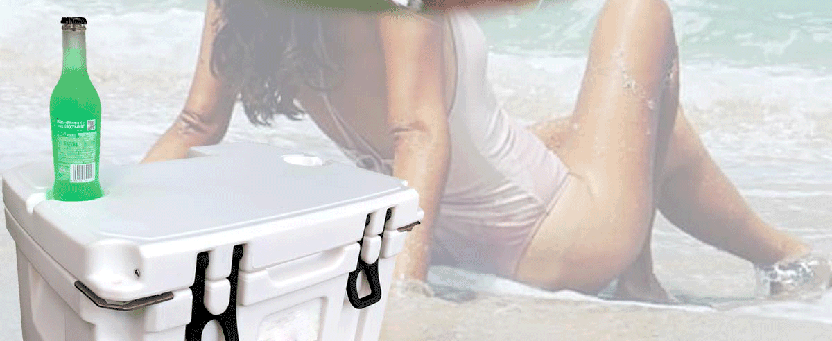 AHIC BH25 COOLERS(图5) AHIC BH25 COOLERS(图5)